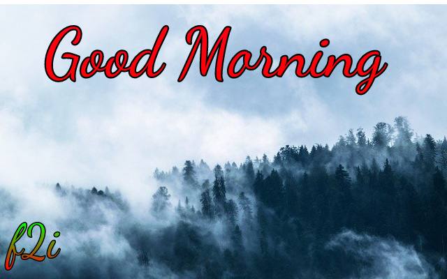 Free good morning photo hd 2020 for u