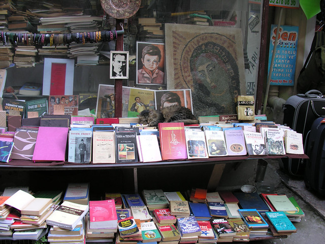 The cat is selling books? / Ne yani, kitap mı satıyor yoksa bu?