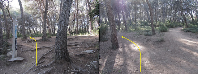 GR-92, Torredembarra a Tarragona, camí al Bosc de la Marquesa