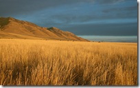 widescreen wallpapers (20)