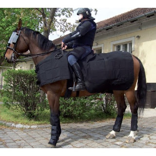 Chevaux trop protégés par leurs cavaliers.