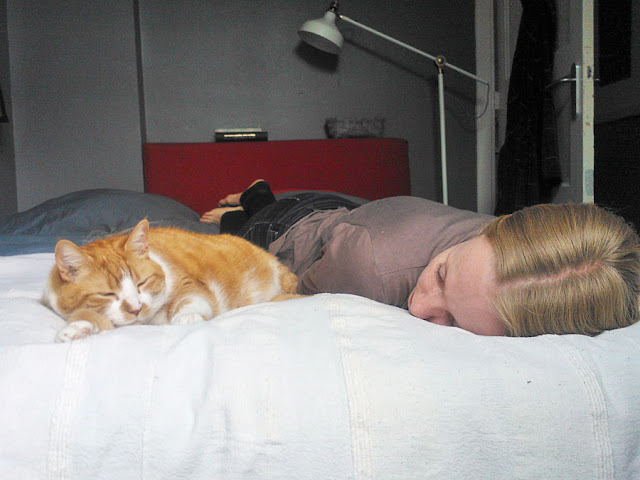 Een rode poes en een meisje liggen naast elkaar op bed een dutje te doen