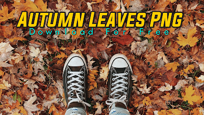 Flying Autumn Leaves Png Image Download [FREE] - POROS EDITZ