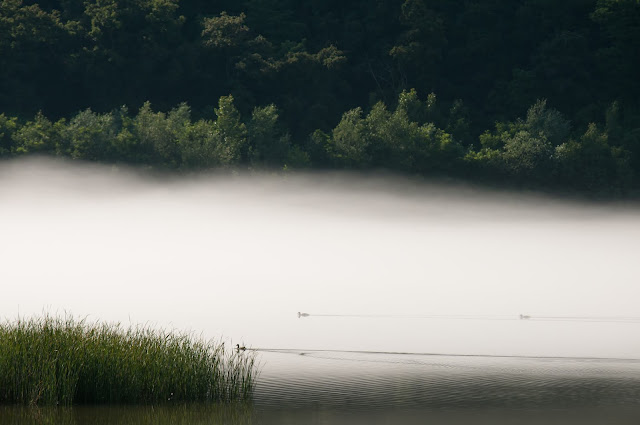 Lacul Gilau, Cluj