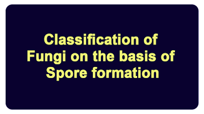 Classification of Fungi on the basis of Spore formation