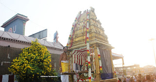 Ananda Vahanam,Day 06,Brahmotsavam, Thiruvallikeni, Sri PArthasarathy Perumal, Temple, 2017, Video, Divya Prabhandam,Utsavam,