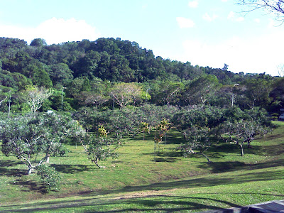 Scenery Along TPE Woodlands Avenue 2 Exit