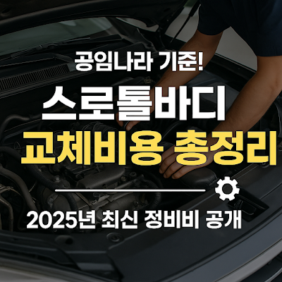 공임나라 스로틀바디 썸네일 이미지입니다.