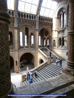 Gran patio central del Museo de Historia Natural de Londres.