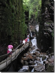 IMG_3614 IMG_3614