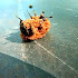 WTF!? Spider Army vs. Beetle