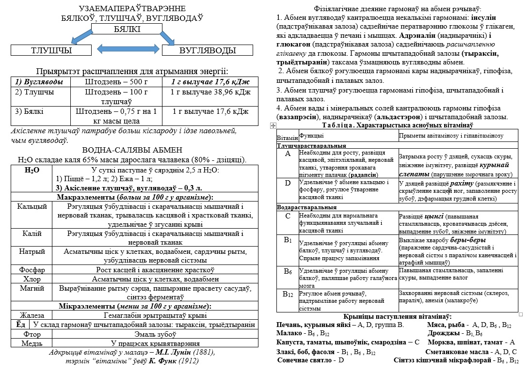 Стрававальная сістэма: абмен рэчываў, ВІТАМІНЫ