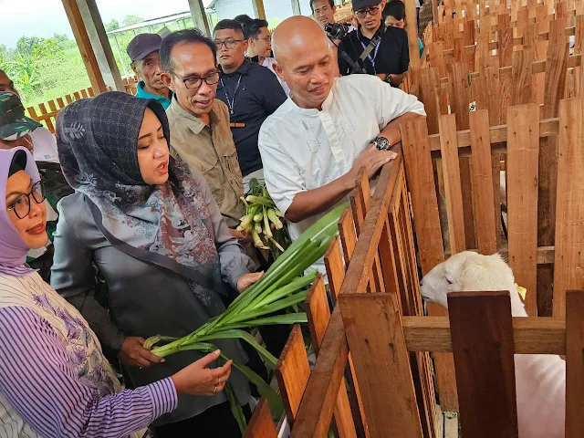 Peternakan Kambing