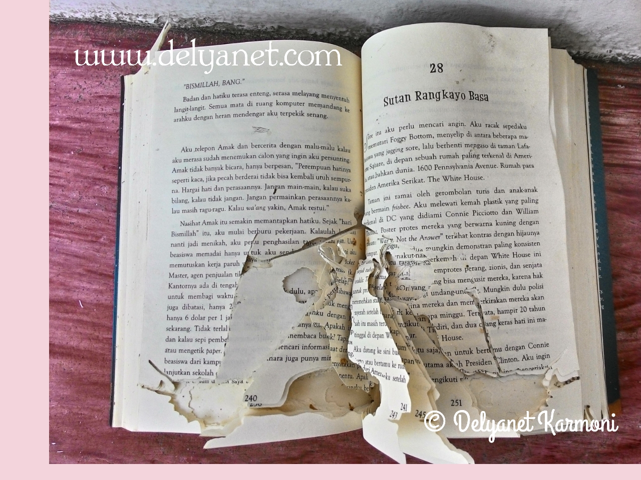  Lemari  Buku dari Kayu  Momento Dulce