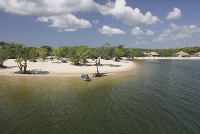 apa pantai paling banaya, senarai pantai bahaya, gambar, foto, cantik, bahaya, pantai gulf, pantai amazon, pantai bolinas, hanakapiai, pulau shired, ular berbisa, bisa ular, haiwan pemangsa, piranha, mangsa, peluncur, ikan yu, larangan, mandi, tercemar, masalah kesihatan