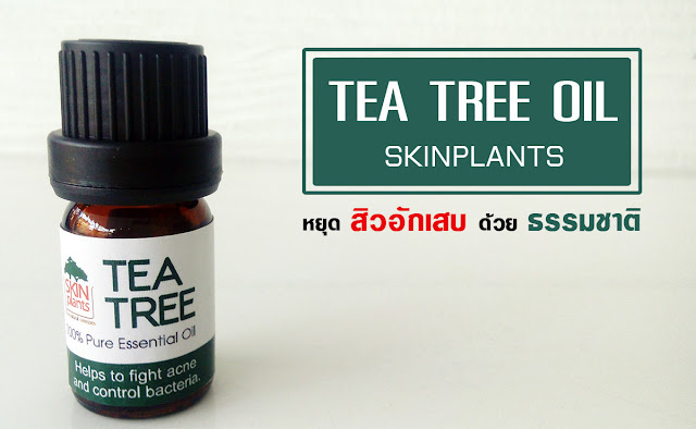 รักษาสิวอักเสบด้วย Skinplants Tea Tree Oil