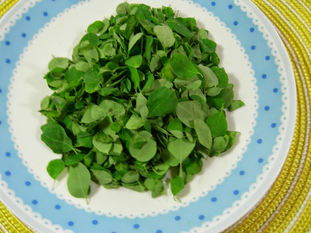 Moringa leaves