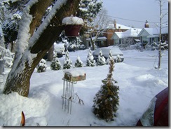 floor snow 005