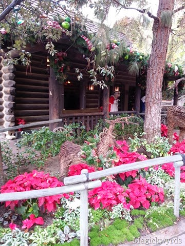blogdisneychristmas1