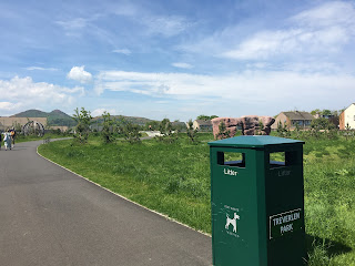 A green bin with grass and skating ramps behind it.