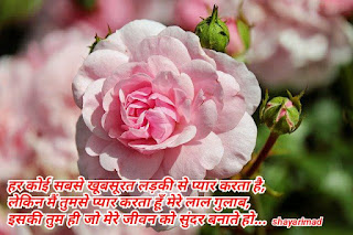 Rose day shayari in hindi