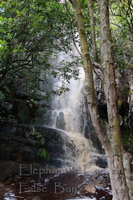 Silvermine waterfall in July