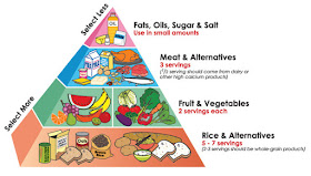 Paleo food pyramid