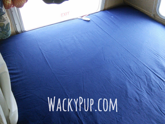Quick and clever way to keep sheets on a bed! Wacky Pup