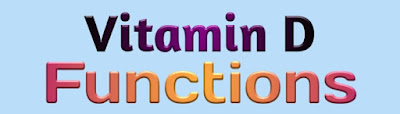 Vitamin D Function, Functions Of Vitamin D