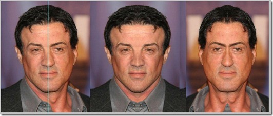 stallone