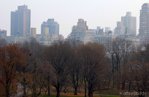 18. cityscape-kab