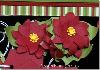 Poinsettas