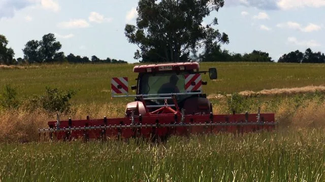 Cooprinsem realizó Día de Campo en Los Muermos