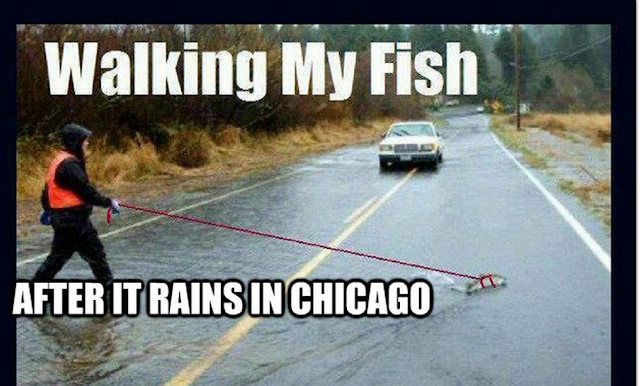 Chicago Memes #2