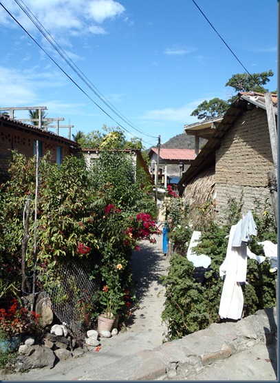 P2050216