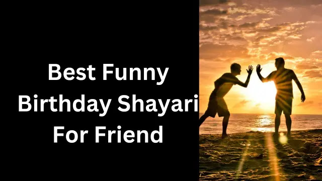 Top 100+ Funny Birthday Shayari For Friend