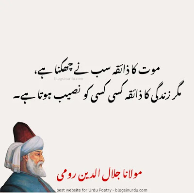 Rumi Quotes in Urdu