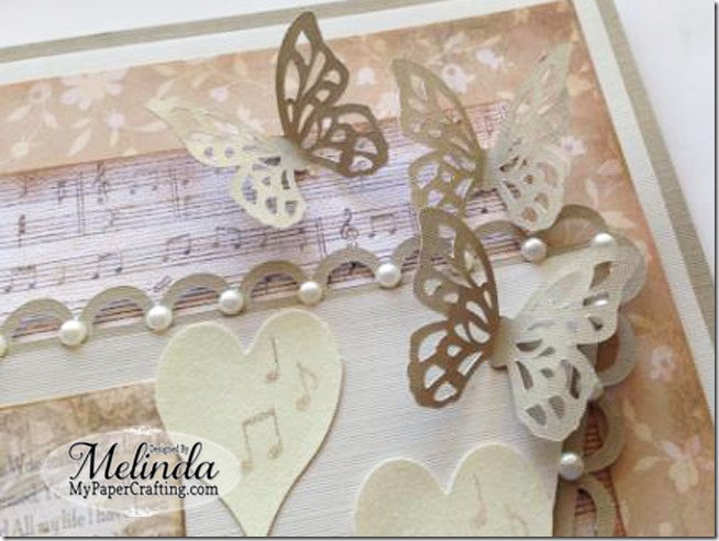 butterflies-650