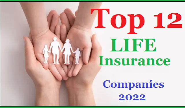 Top 12 Life Insurance Companies 2022