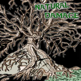 Natural Damage - Fucking metal (2011)