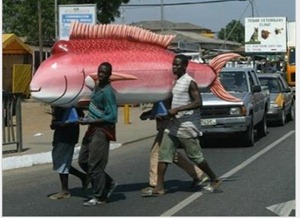 fishcoffin