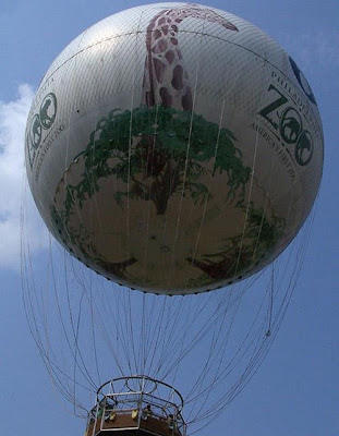 Creative Hot Air Balloons