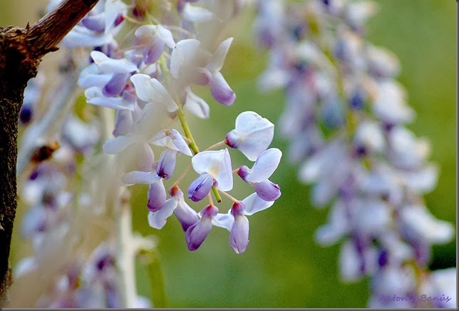 5 DSC_5875x1