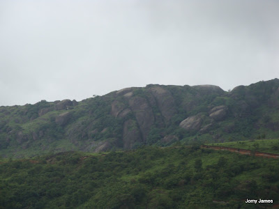 Wagamon Meadows