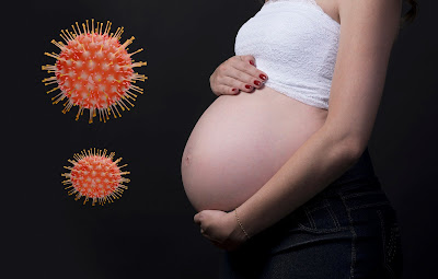 pregnancy and corona virus