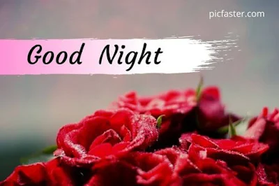 Latest - Good Night Rose Images, Photos For Whatsapp