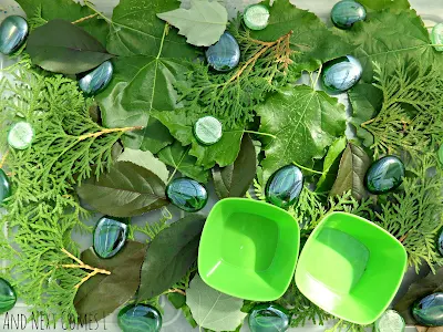 Close up of green themed sensory bin from And Next Comes L