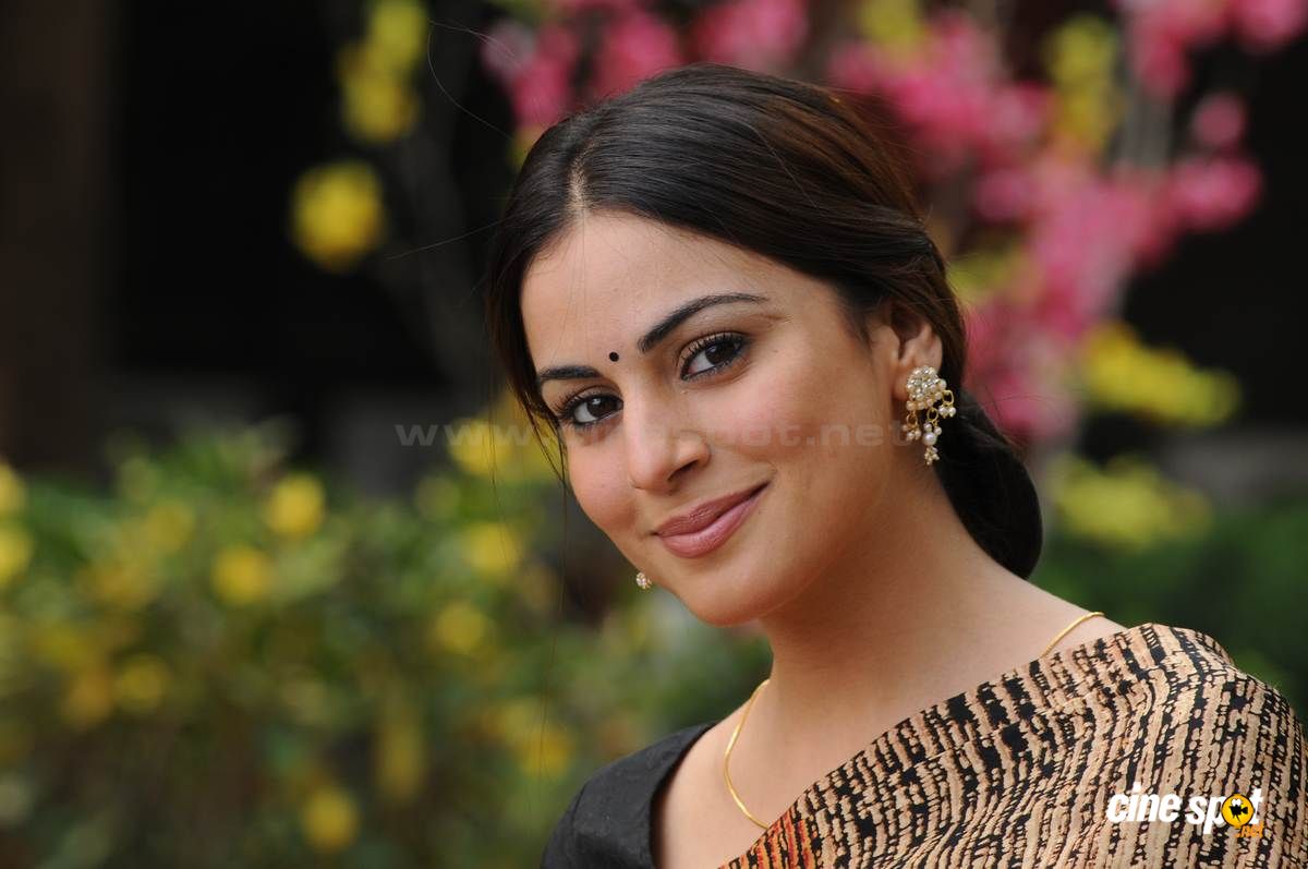 Shraddha Arya Actress Shraddha Arya Telugu Hot Spicy Actress Sexy ...