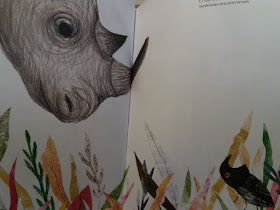 cuento infantil-rinoceronte