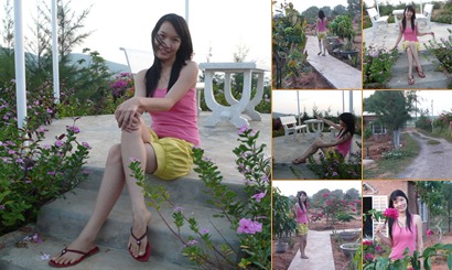 View album